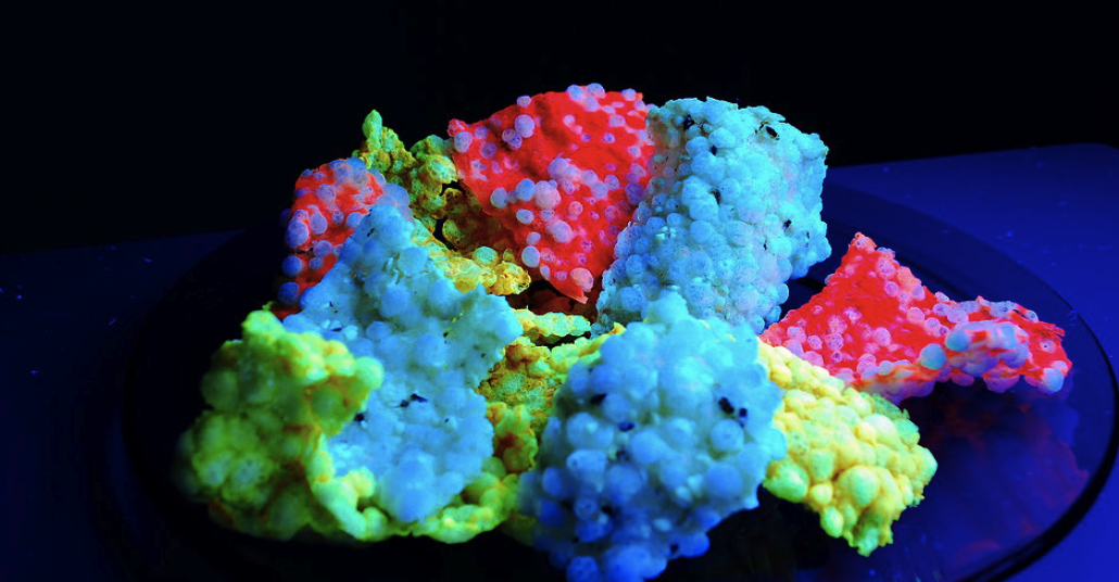 Colorful glow-in-the-dark Luma Bites food arranged on a plate