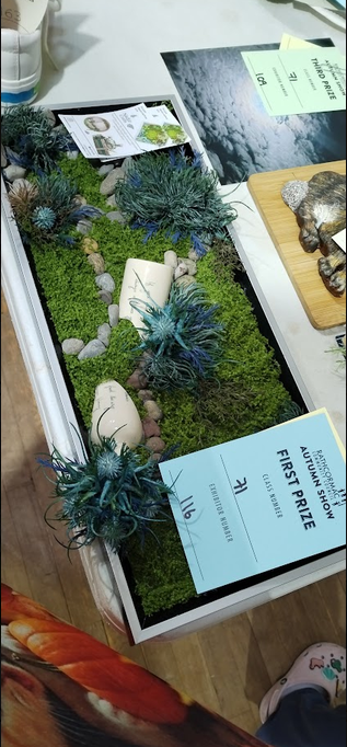 The Nádúr Crafts art piece with its Rathcormac Autumn Show first-place card