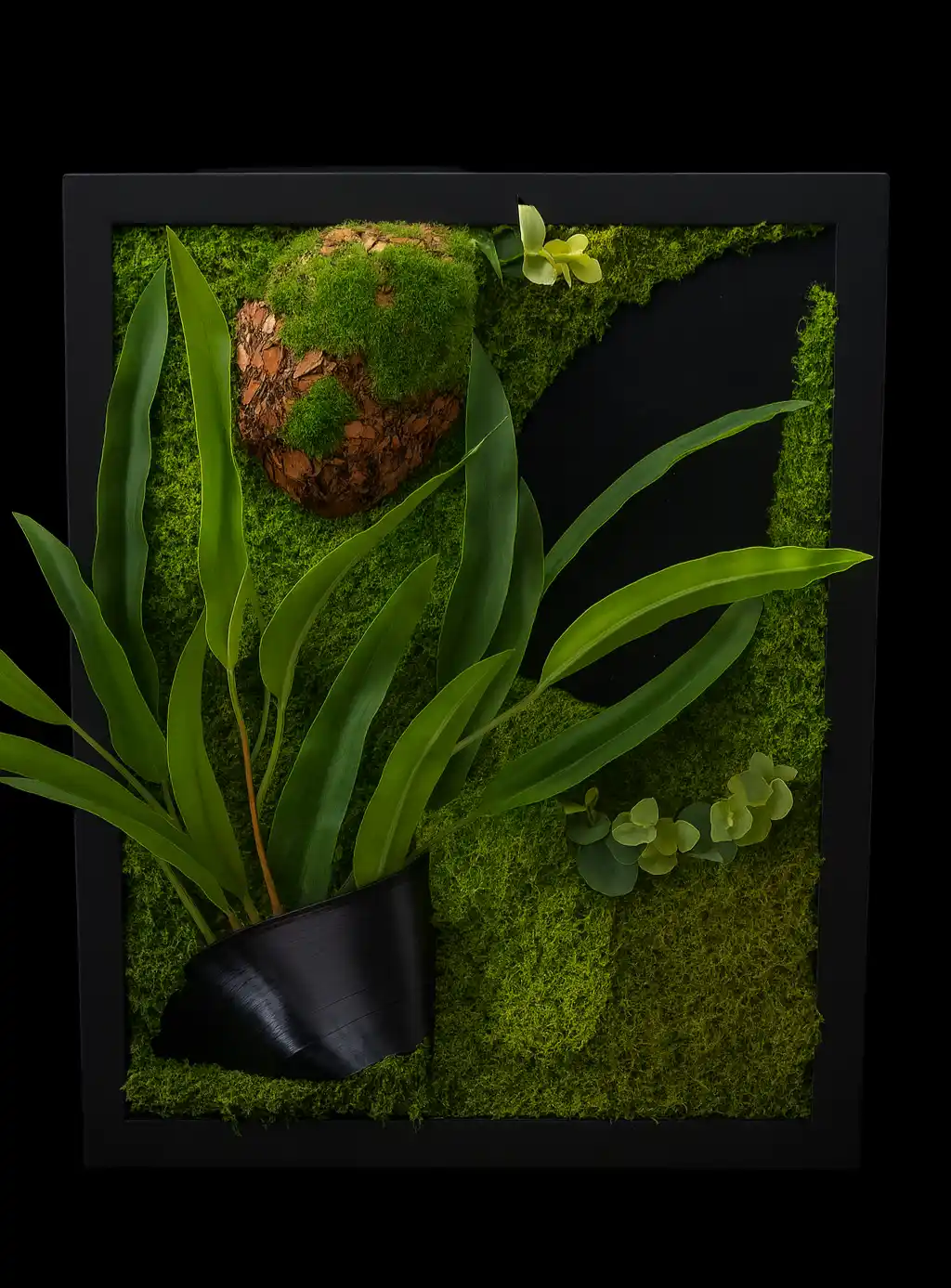 A dark framed artwork made with moss, greenery, and natural textures