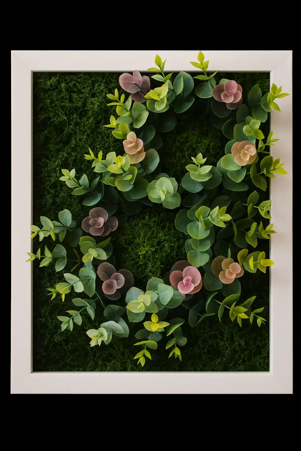 A white frame filled with moss and small pink and green succulents